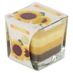 Lumanare parfumata Sunflowers 8x8 CM, Bolsius, pahar sticla