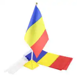 Set 12 steaguri cu talpa 21x14x30 CM