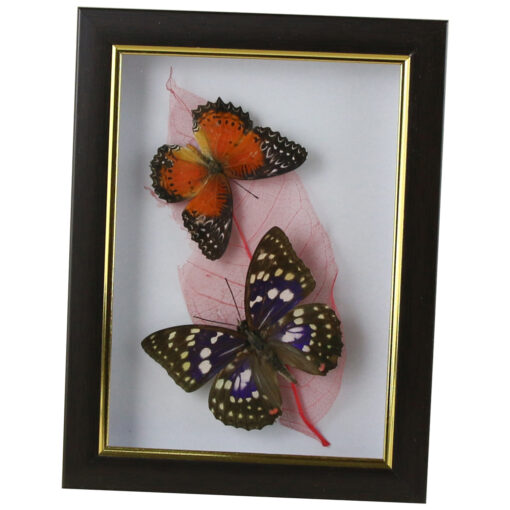 Tablou cu 2 fluturi naturali cu frunza colorata 16x21 CM, modele variate