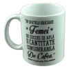 Cana ceramica Boss Mug 300 ml ''In spatele oricarei femei de succes se afla o cantitate considerabila de cafeaua." Stephanie Piro, in cuite decorativa