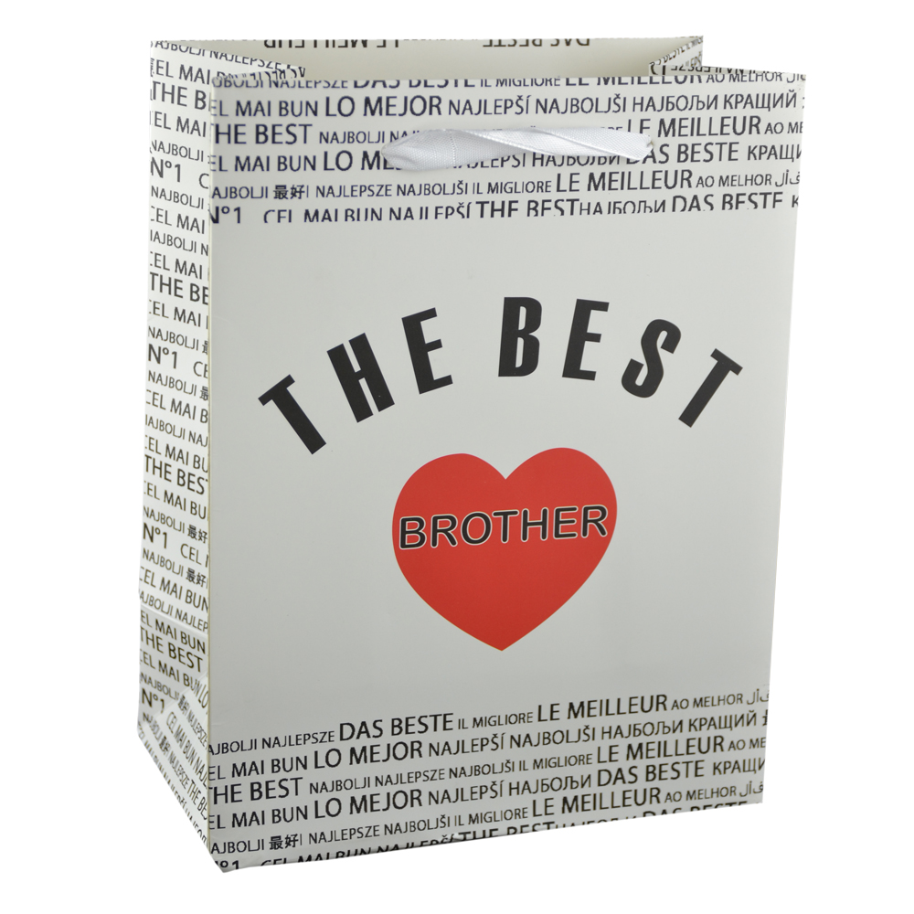 Punga cadou din hartie laminata 18x23 CM - A legjobb testver/The best brother - imagine 2
