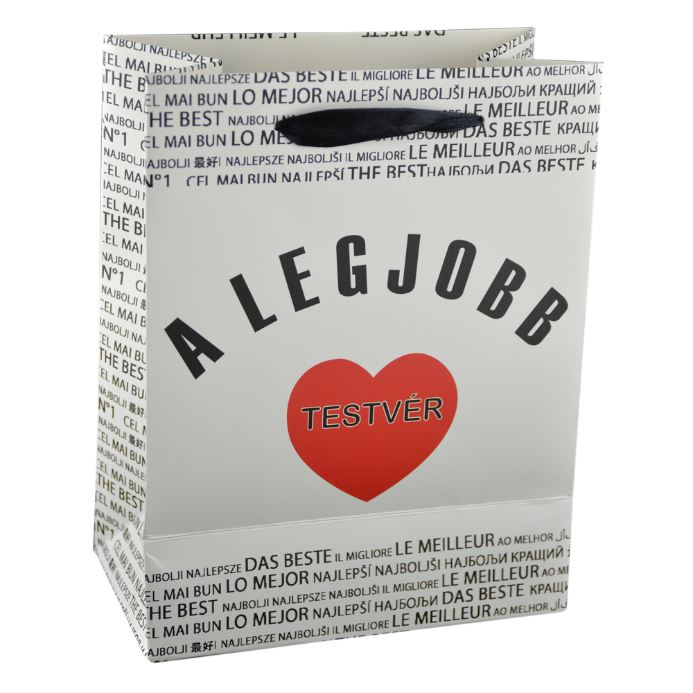 Punga cadou din hartie laminata 18x23 CM - A legjobb testver/The best brother - imagine 5