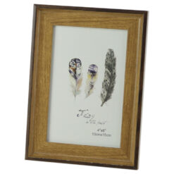 Rama foto din plastic - Dim.poza 10?15 CM, Feather