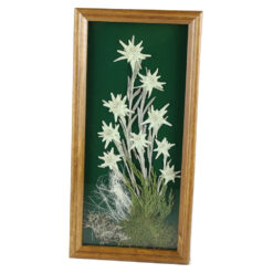 Tablou decorativ Floare de colt 16x32 CM