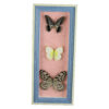 Tablou cu 3 fluturi naturali 16x38 CM, modele variate