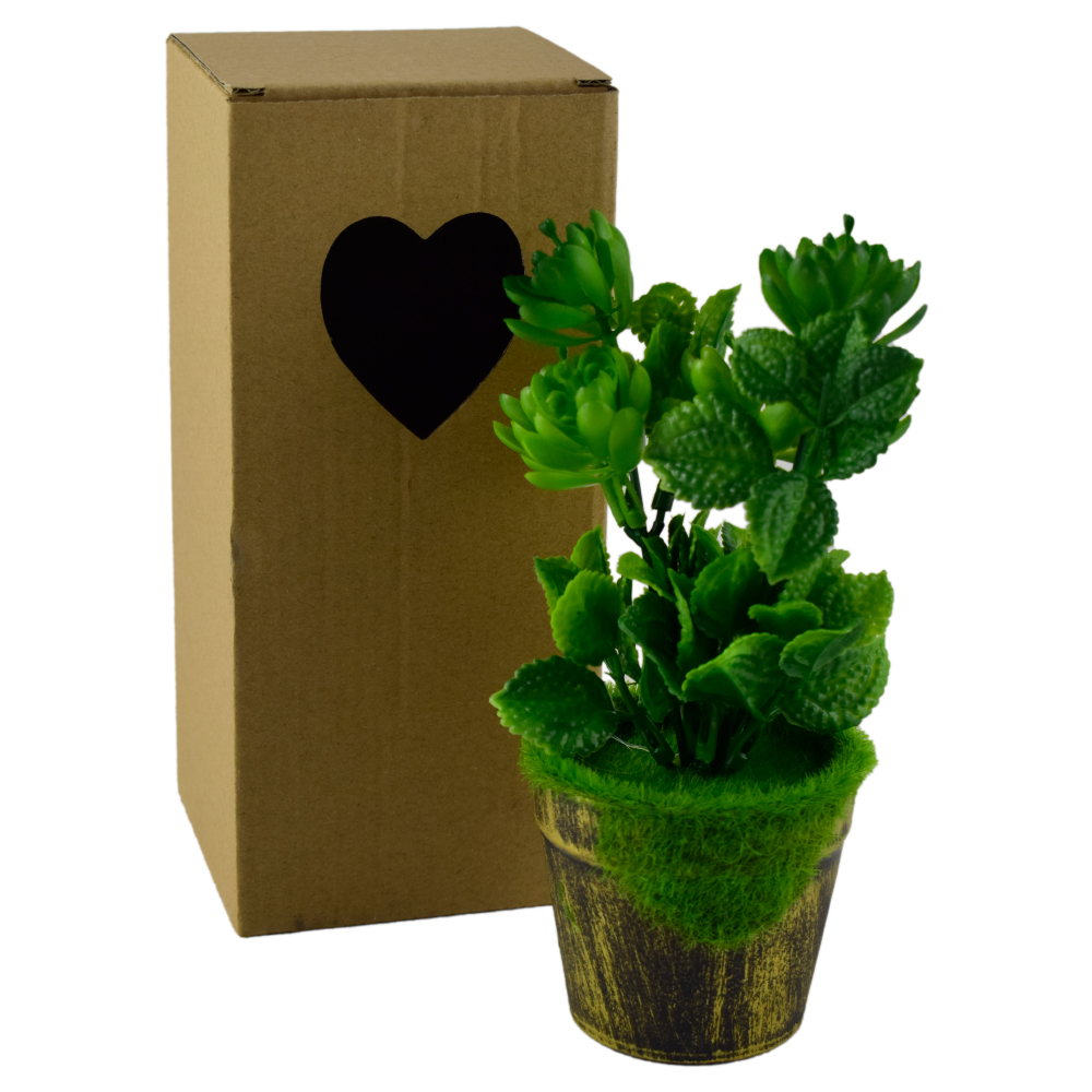 Plante artificiale in ghiveci, in cutie de cadou - Diverse modele (Model 3)