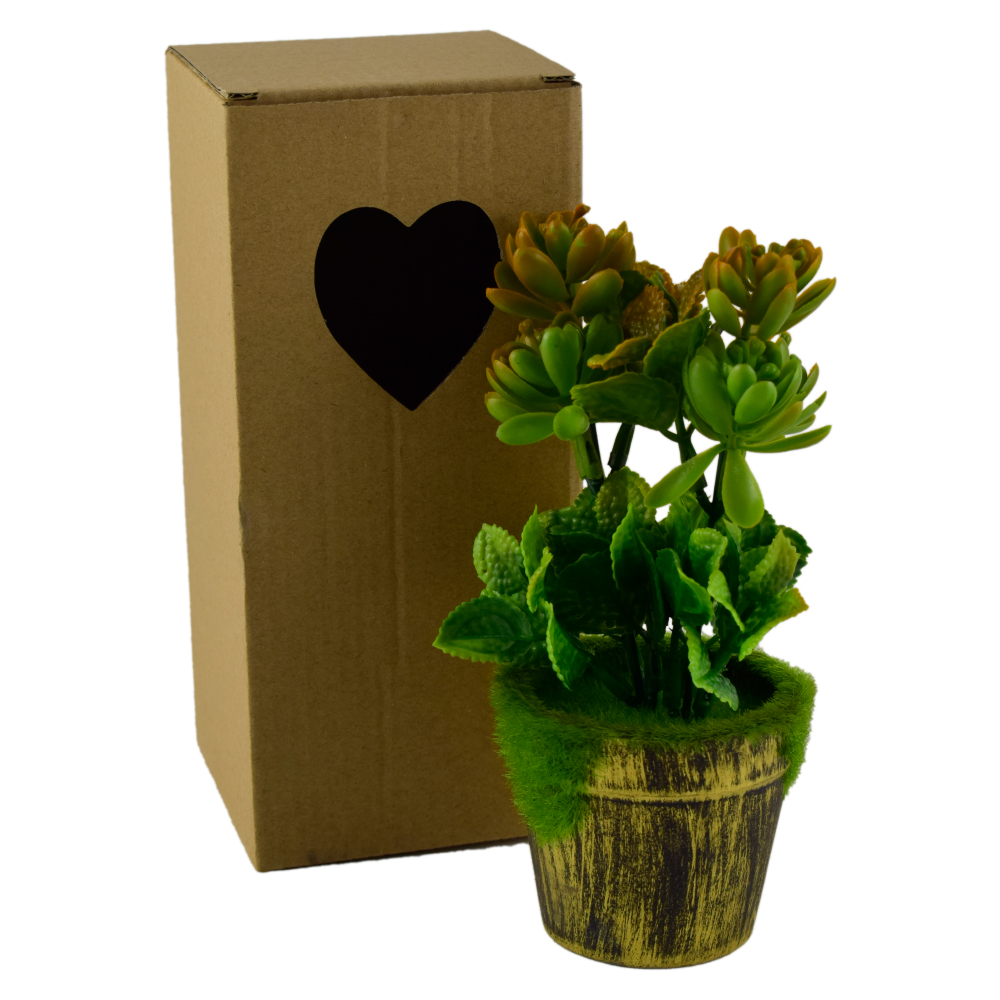 Plante artificiale in ghiveci, in cutie de cadou - Diverse modele (Model 3) - imagine 2