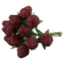 Set 12 pick decor Zmeura 11 CM