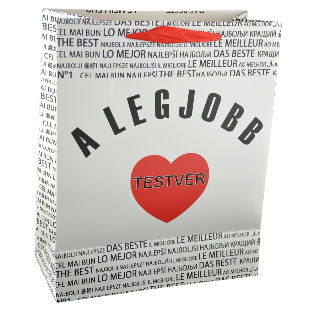Punga cadou din hartie laminata 26x32 CM - A legjobb testver/The best brother - imagine 3