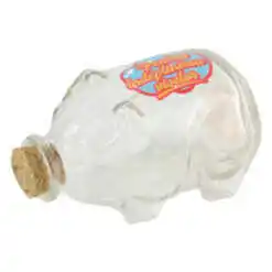 Pusculita din sticla "Pentru indeplinirea viselor/Fiecare banut conteaza" 13x8 CM