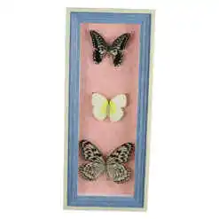 Tablou cu 3 fluturi naturali 16x38 CM, modele variate