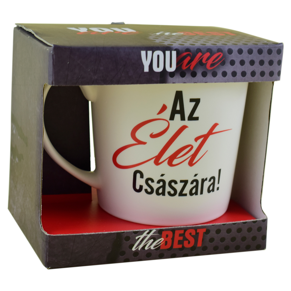 Cana You are the best din ceramica 480 ml "Az elet csaszara" - imagine 3