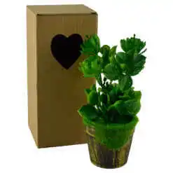 Plante artificiale in ghiveci, in cutie de cadou - Diverse modele (Model 3)