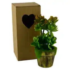 Alternative view of Plante artificiale in ghiveci, in cutie de cadou - Diverse modele (Model 3)