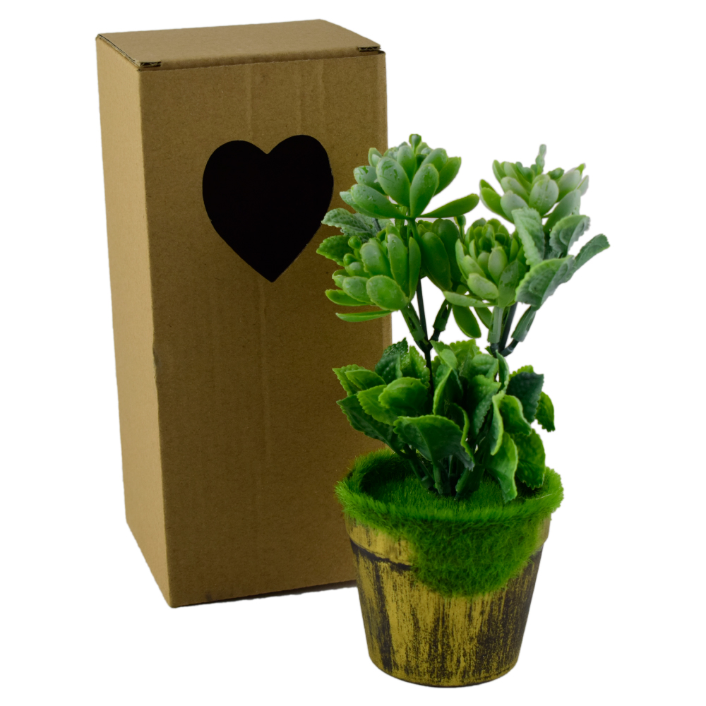 Plante artificiale in ghiveci, in cutie de cadou - Diverse modele (Model 3) - imagine 3