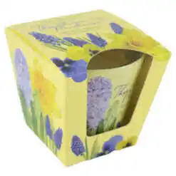 Lumanare parfumata in pahar Flowering Madness