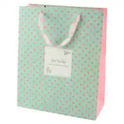 Punga cadou din hartie 26x32 CM - Buline ?Best Wishes?