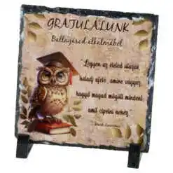 Placa ardezie "Gratulalunk Ballagasod alkalmabol" 14x14 CM, Bufnita