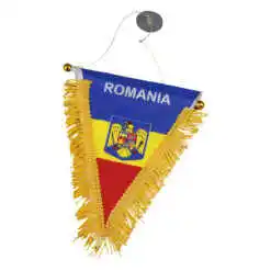 Set 12 Steag Fanion 14x17 CM