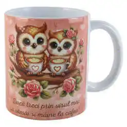 Cana din ceramica 330 ml, "Daca treci prin visul meu...", bufnite