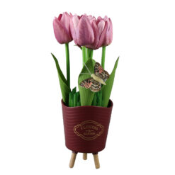 Aranjament floral in ghiveci plastic "Flowers & Garden", cu lalele si fluture, mov