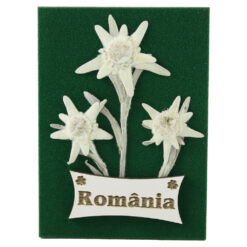 Magnet de frigider cu Floare de colt "Romania" 6.5 x 9 cm