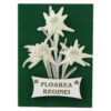 Magnet de frigider cu Floare de colt "Floarea Reginei" 6.5 x 9 cm