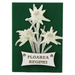 Magnet de frigider cu Floare de colt "Floarea Reginei" 6.5 x 9 cm