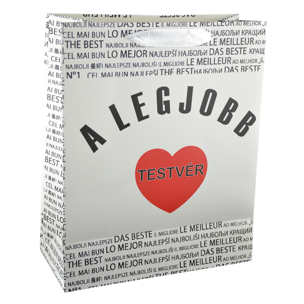 Punga cadou din hartie laminata 26x32 CM - A legjobb testver/The best brother