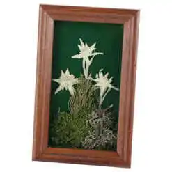 Alternative view of Tablou decorativ Floare de colt 12x18 CM