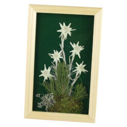 Alternative view of Tablou decorativ Floare de colt 15x24 CM