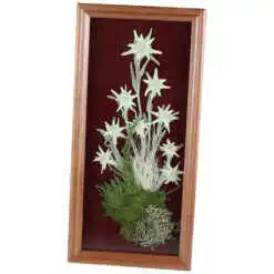 Alternative view of Tablou decorativ Floare de colt 16x32 CM