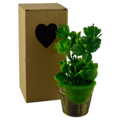 Plante artificiale in ghiveci, in cutie de cadou - Diverse modele (Model 3)