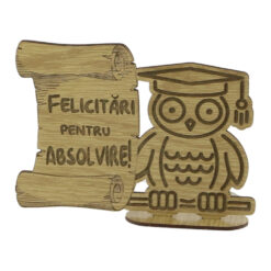 Decor din lemn "Felicitari pentru Absolvire" 13x10 CM, Bufnita