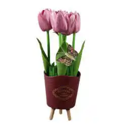 Aranjament floral in ghiveci plastic "Flowers & Garden", cu lalele si fluture, mov