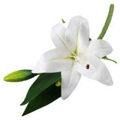 Floara artificiala Crin alb cu boboc 36 cm