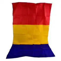 Alternative view of Steag Romania 90x145 CM