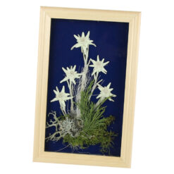 Tablou decorativ Floare de colt 15x24 CM