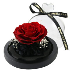 Alternative view of Cupola din sticla cu trandafir criogenat 12 cm