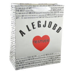 Punga cadou din hartie laminata 26x32 CM - A legjobb testver/The best brother