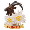 Magnet de frigider din rasina "Romania" 7 cm, Floare de colt