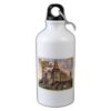Sticla termos 500 ml "Castelul Corvinilor" Romania