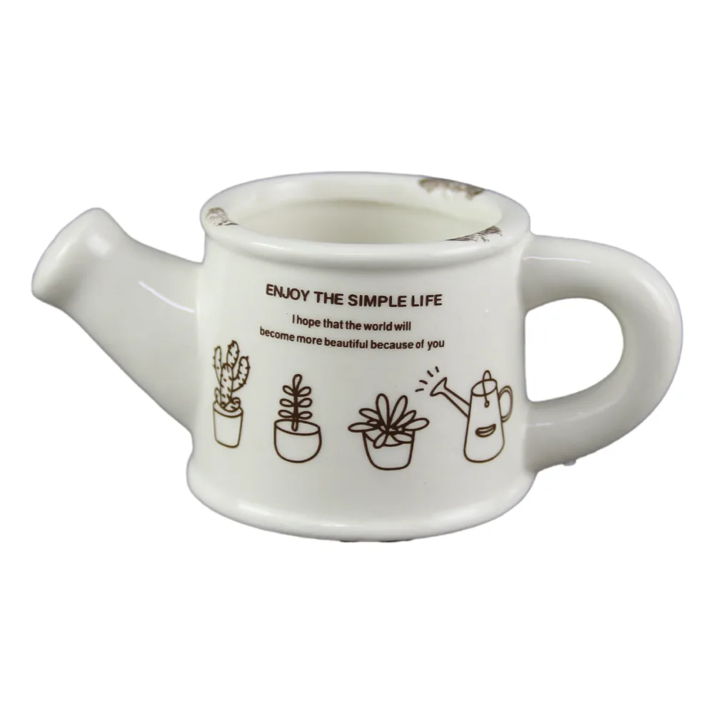 Ghiveci tip stropitoare din ceramica 12x6 CM