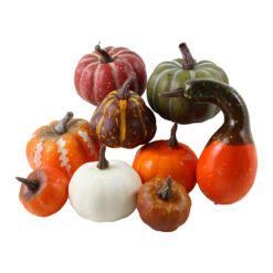 Set 9 dovlecei decorativi din polifoam 4 - 7 cm, multicolor
