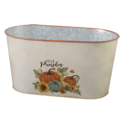 Ghiveci oval decorativ din metal Hello Pumpkin 23 x 11.5 x 12 cm, dovlecei