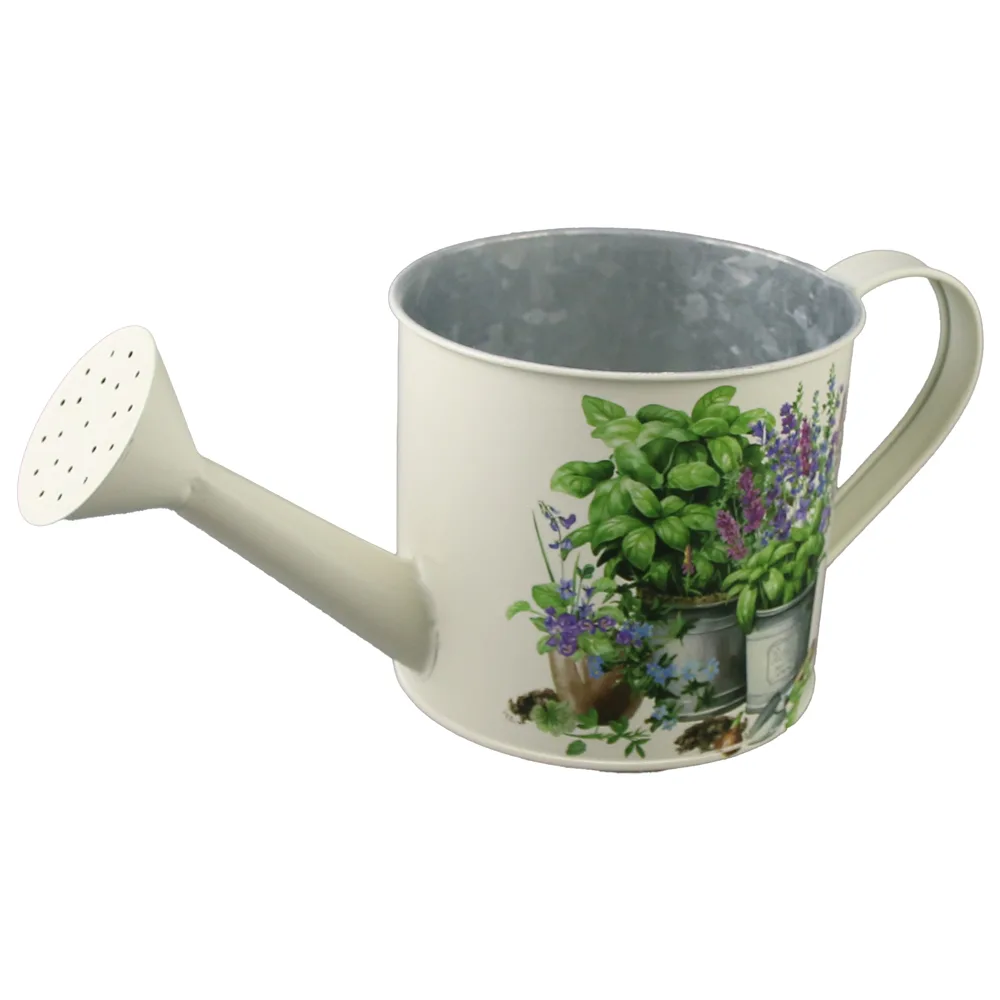Ghiveci tip Stropitoare din metal 12 x 11 cm, Plante medicinale - imagine 2