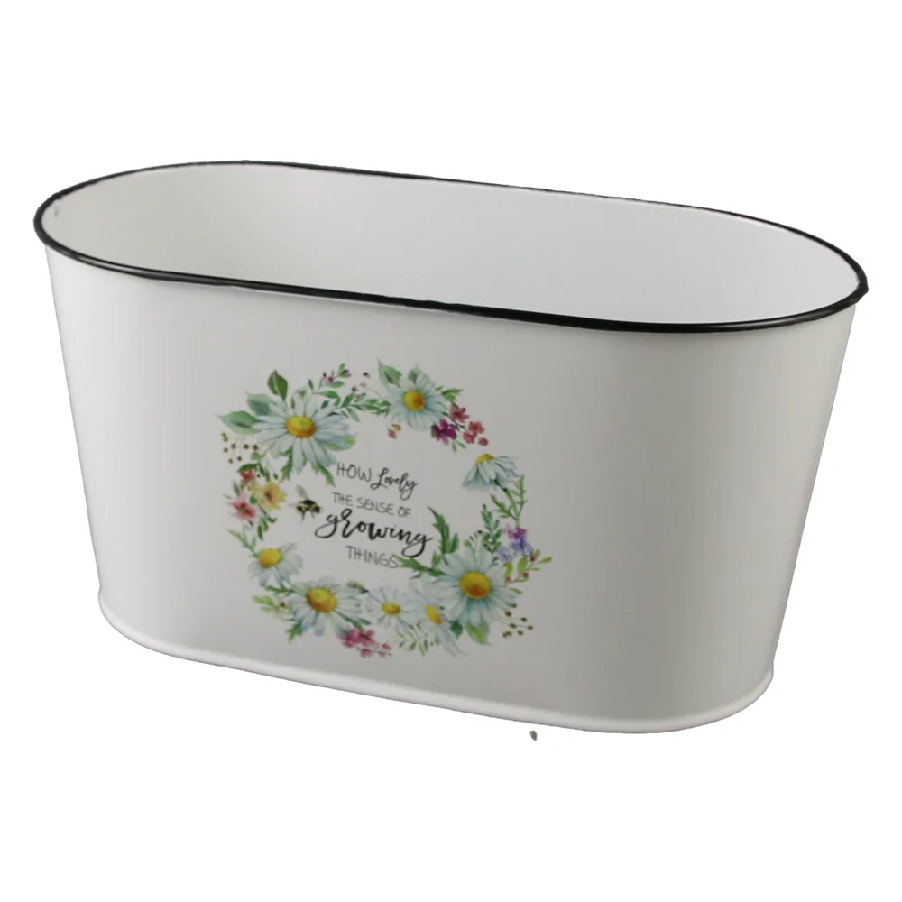 Ghiveci oval din metal 23 x 11.5 cm, Coronita din margarete