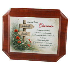 Placheta din lemn "Cea mai buna Educatoare..." 27 x 22 cm