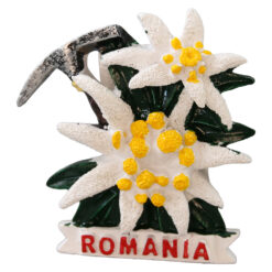 Magnet de frigider din rasina "Romania" 6.5 cm, Floare de colt