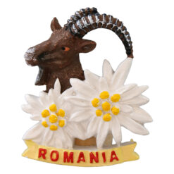 Magnet de frigider din rasina "Romania" 7 cm, Floare de colt